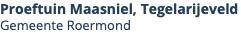 Proeftuin Maasniel, Tegelarijeveld Gemeente Roermond